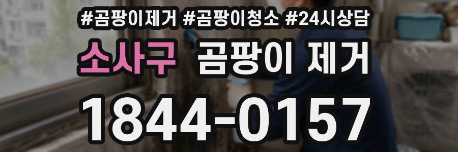 소사구 곰팡이 제거