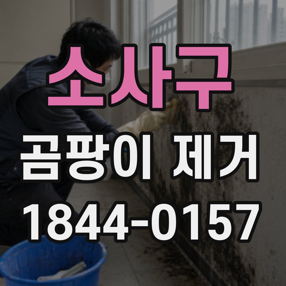 소사구 곰팡이 제거