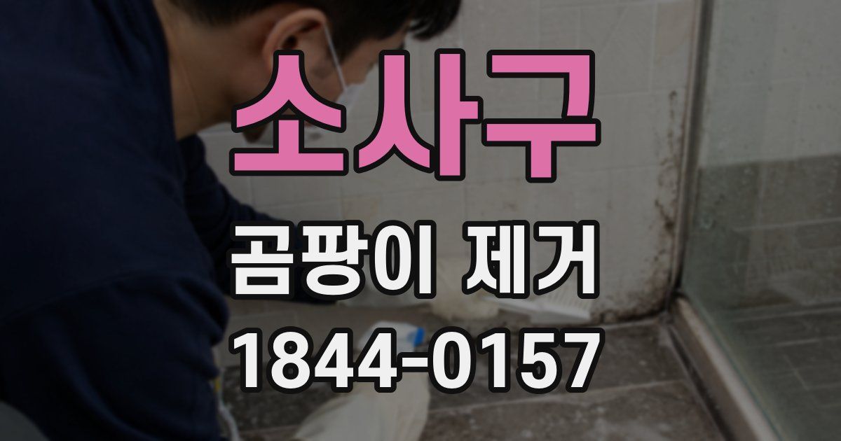 소사구 곰팡이 제거
