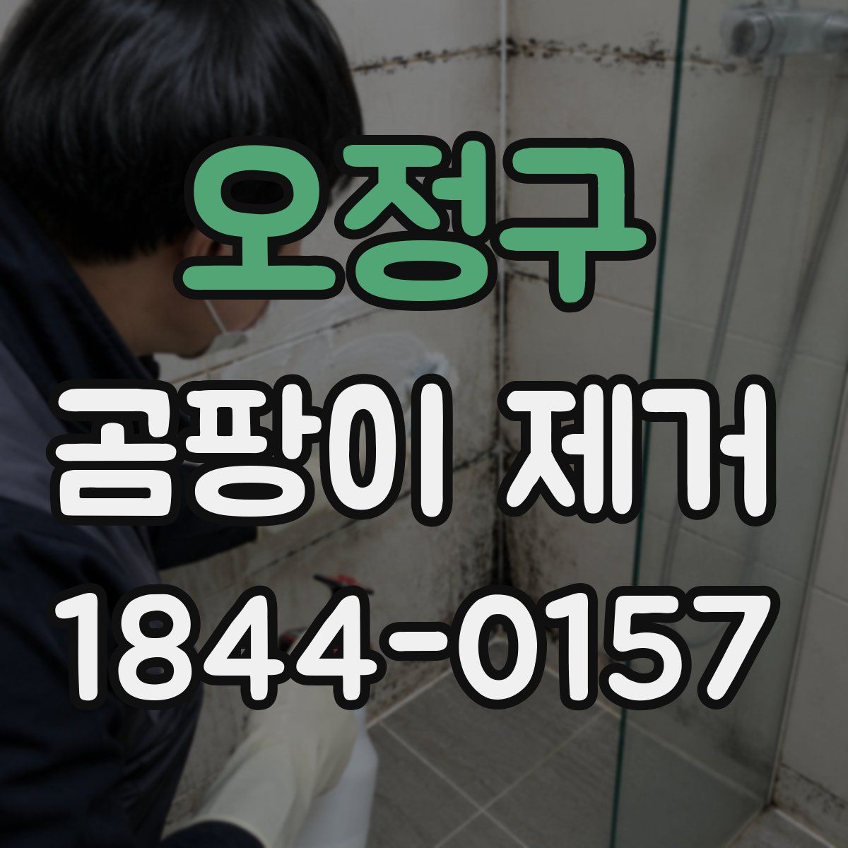 오정구 곰팡이 제거