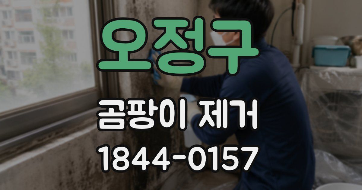 오정구 곰팡이 제거