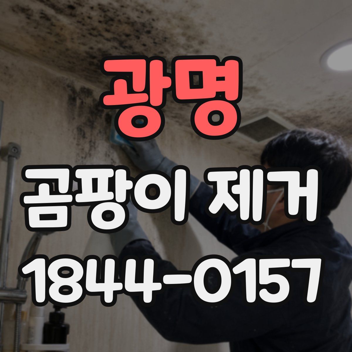 광명 곰팡이 제거