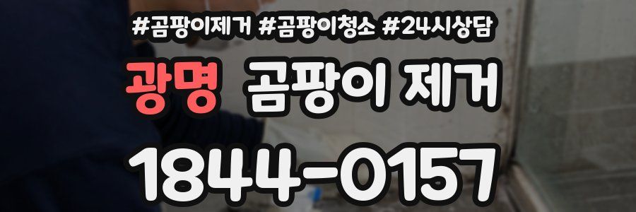 광명 곰팡이 제거