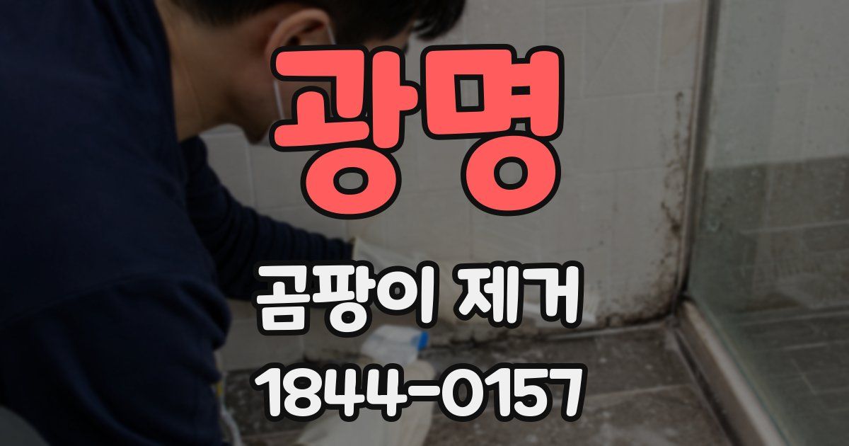 광명 곰팡이 제거