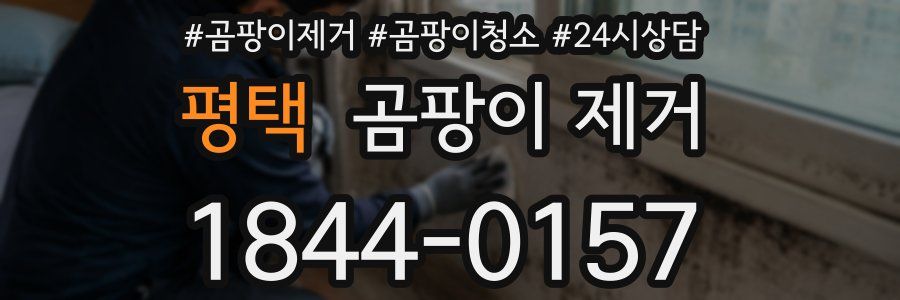 평택 곰팡이 제거