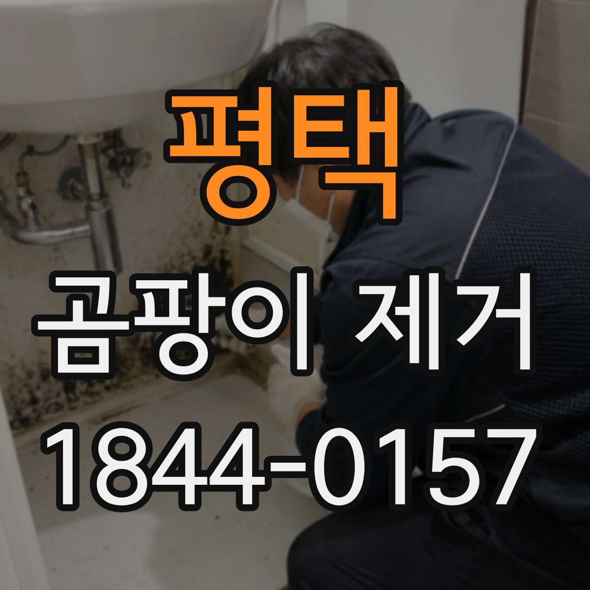 평택 곰팡이 제거