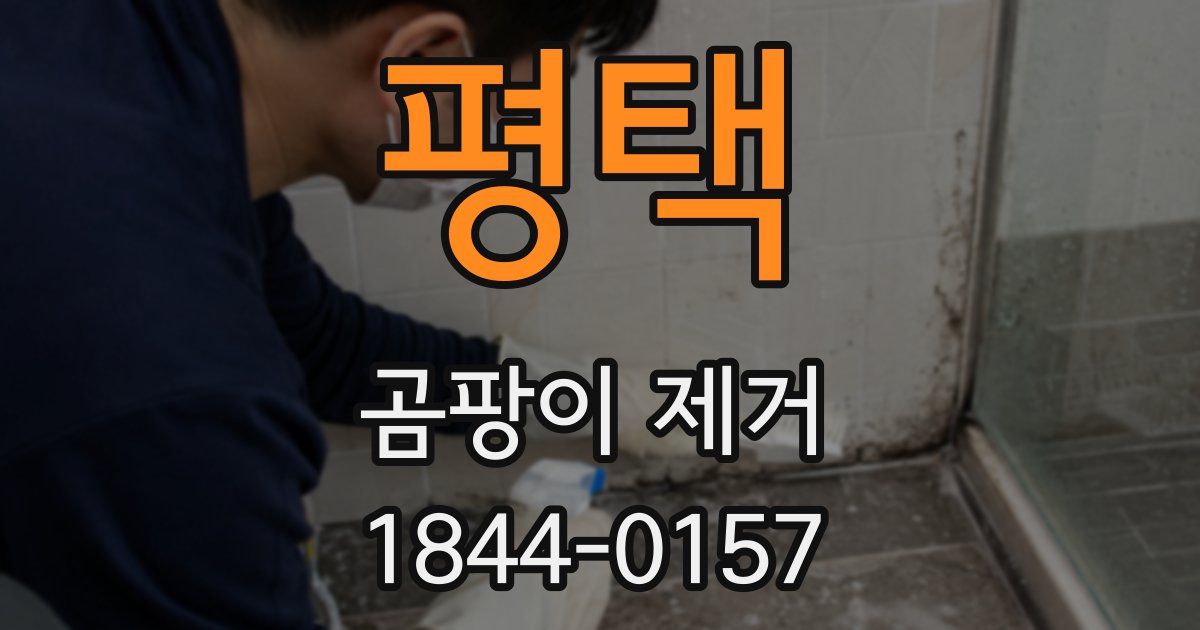 평택 곰팡이 제거