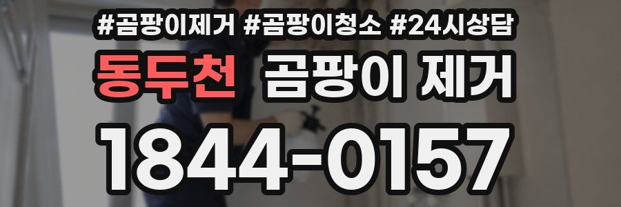 동두천 곰팡이 제거