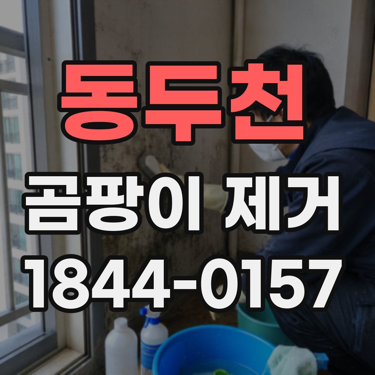 동두천 곰팡이 제거
