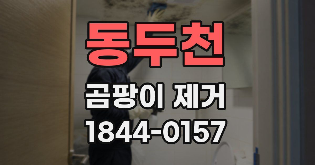 동두천 곰팡이 제거