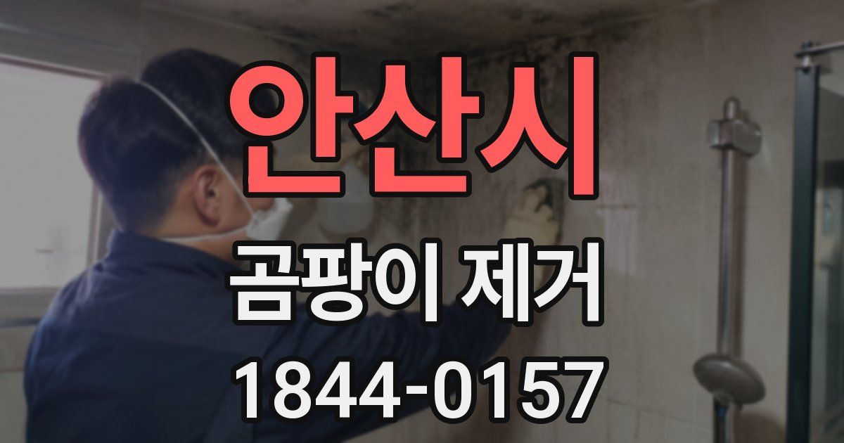 안산시 곰팡이 제거
