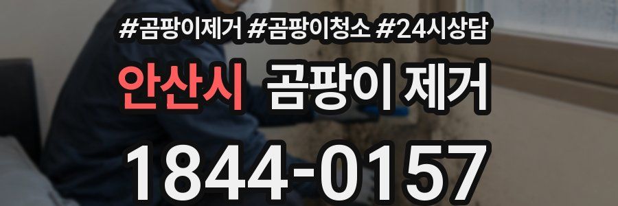 안산시 곰팡이 제거