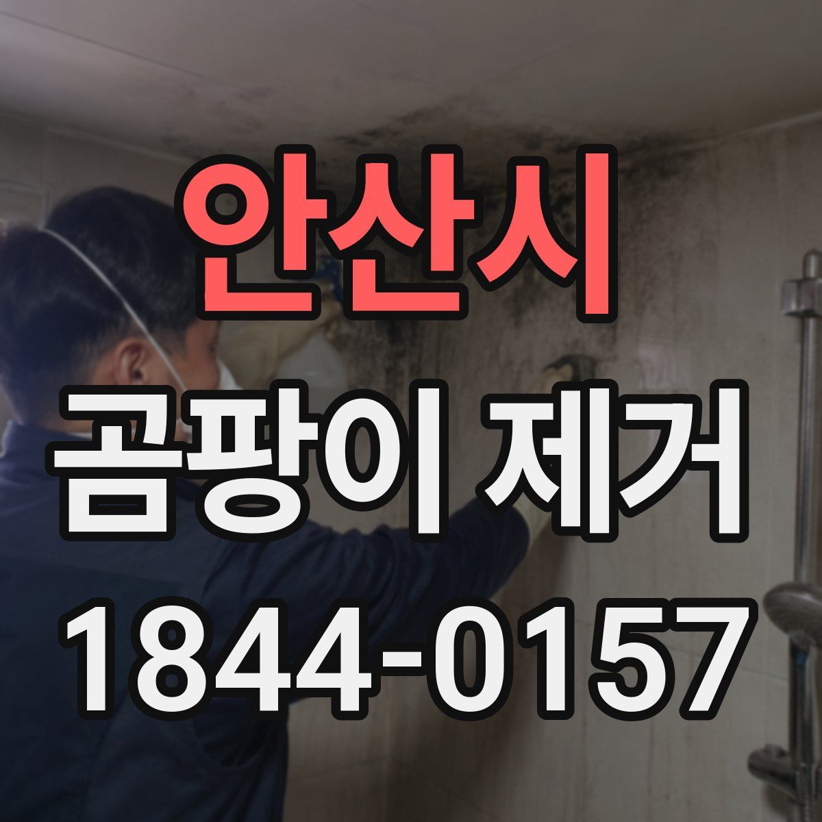 안산시 곰팡이 제거