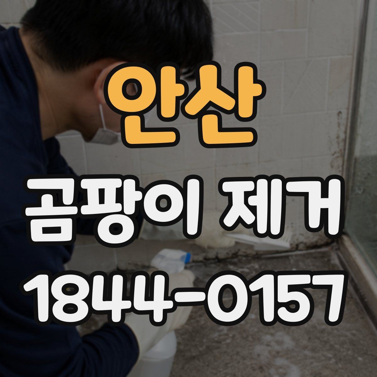 안산 곰팡이 제거 후 공기 쾌적함을 오래 유지하는 법