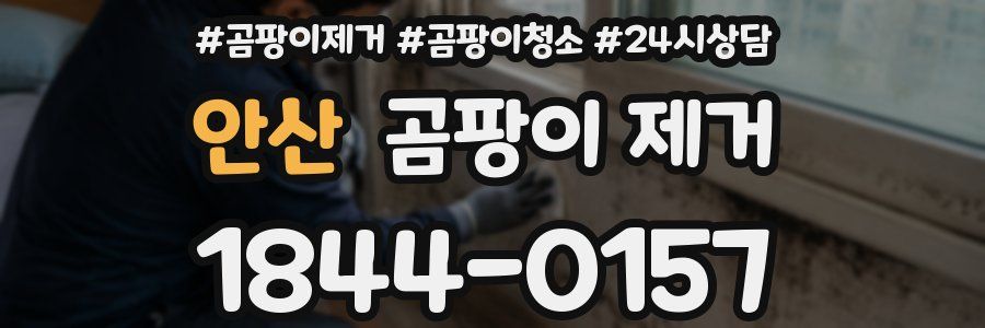 안산 곰팡이 제거