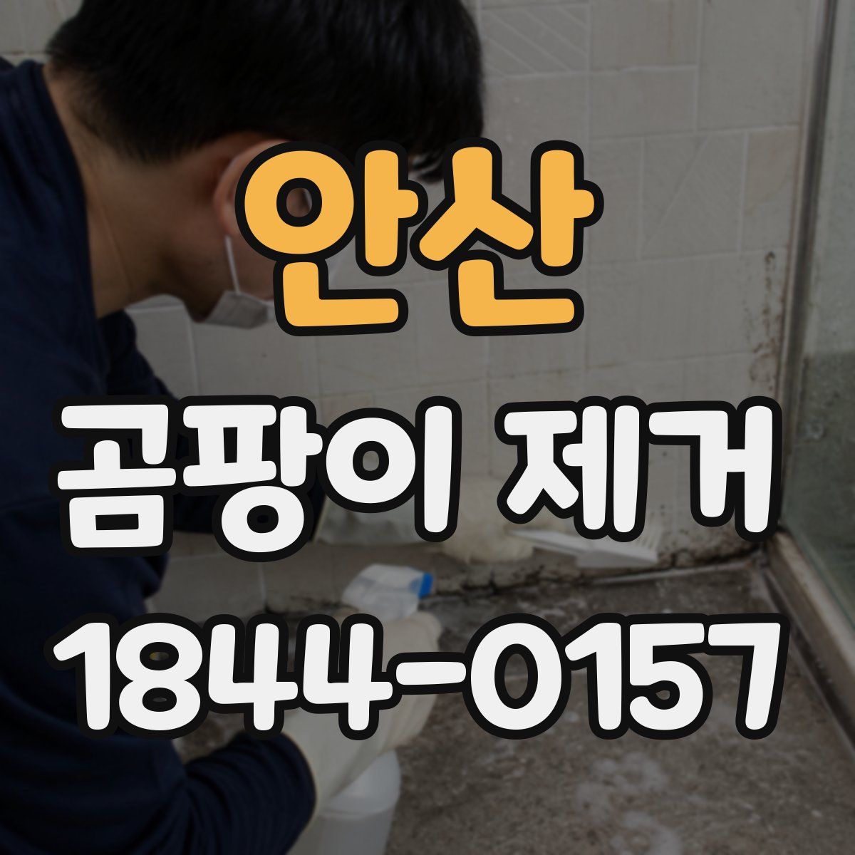 안산 곰팡이 제거