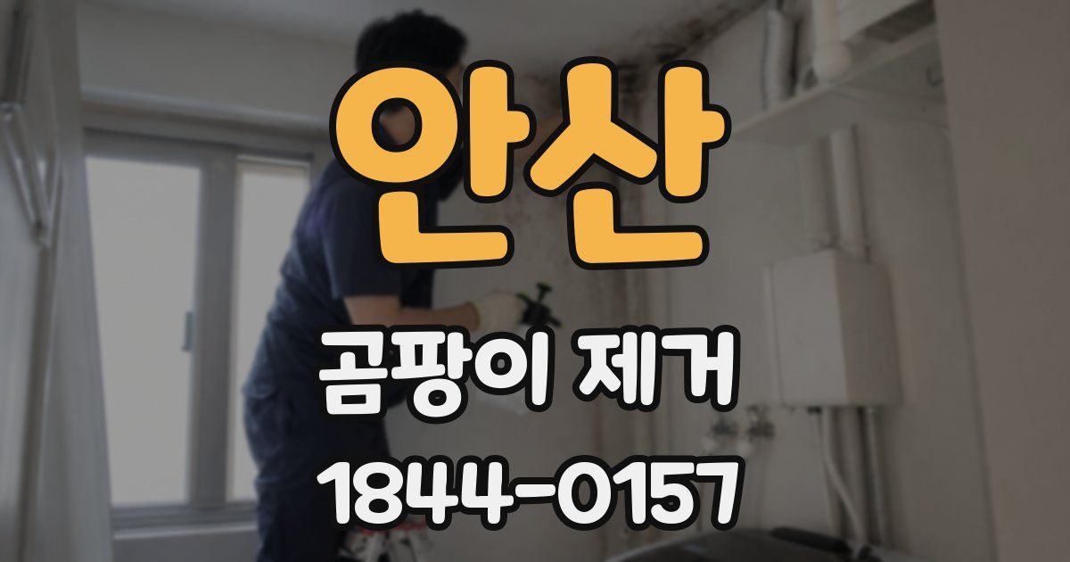 안산 곰팡이 제거
