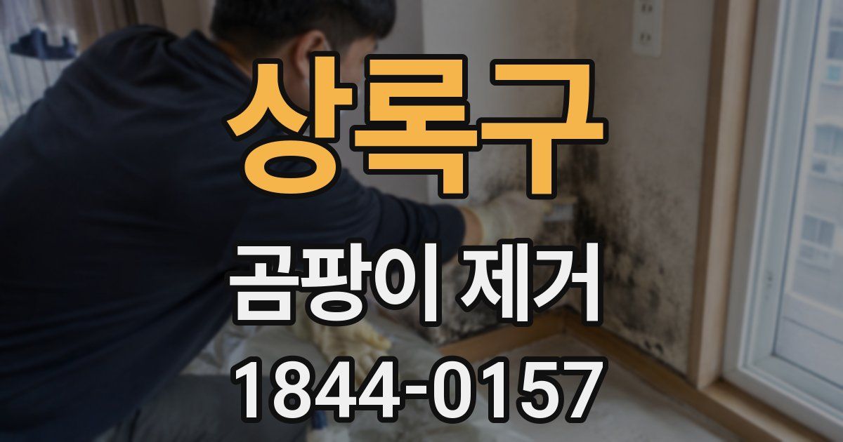 상록구 곰팡이 제거