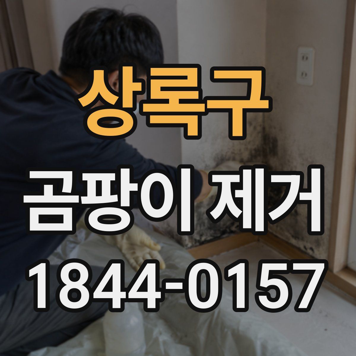 상록구 곰팡이 제거