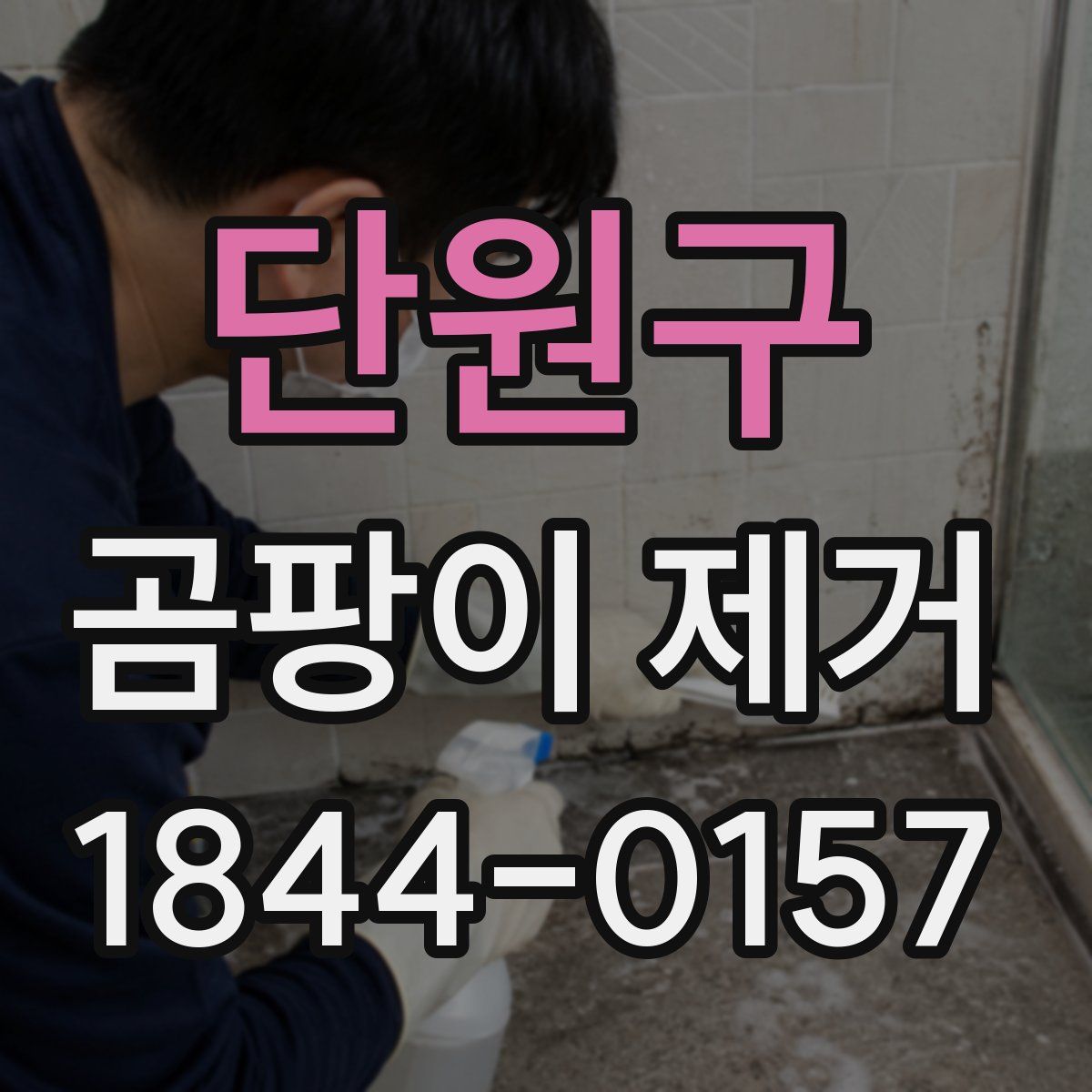 단원구 곰팡이 제거