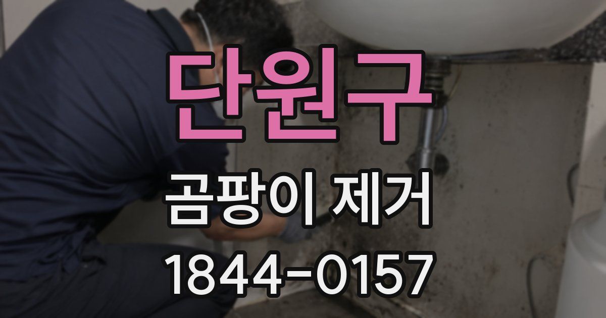 단원구 곰팡이 제거