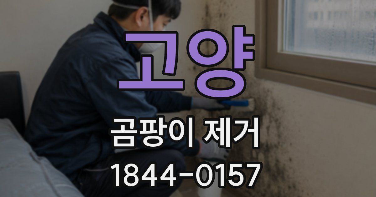 고양 곰팡이 제거