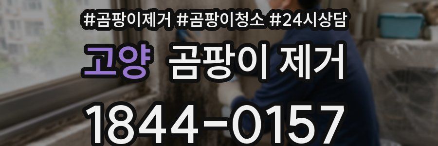 고양 곰팡이 제거