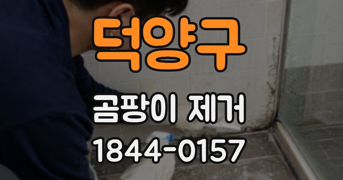 덕양구 곰팡이 제거