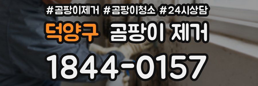 덕양구 곰팡이 제거