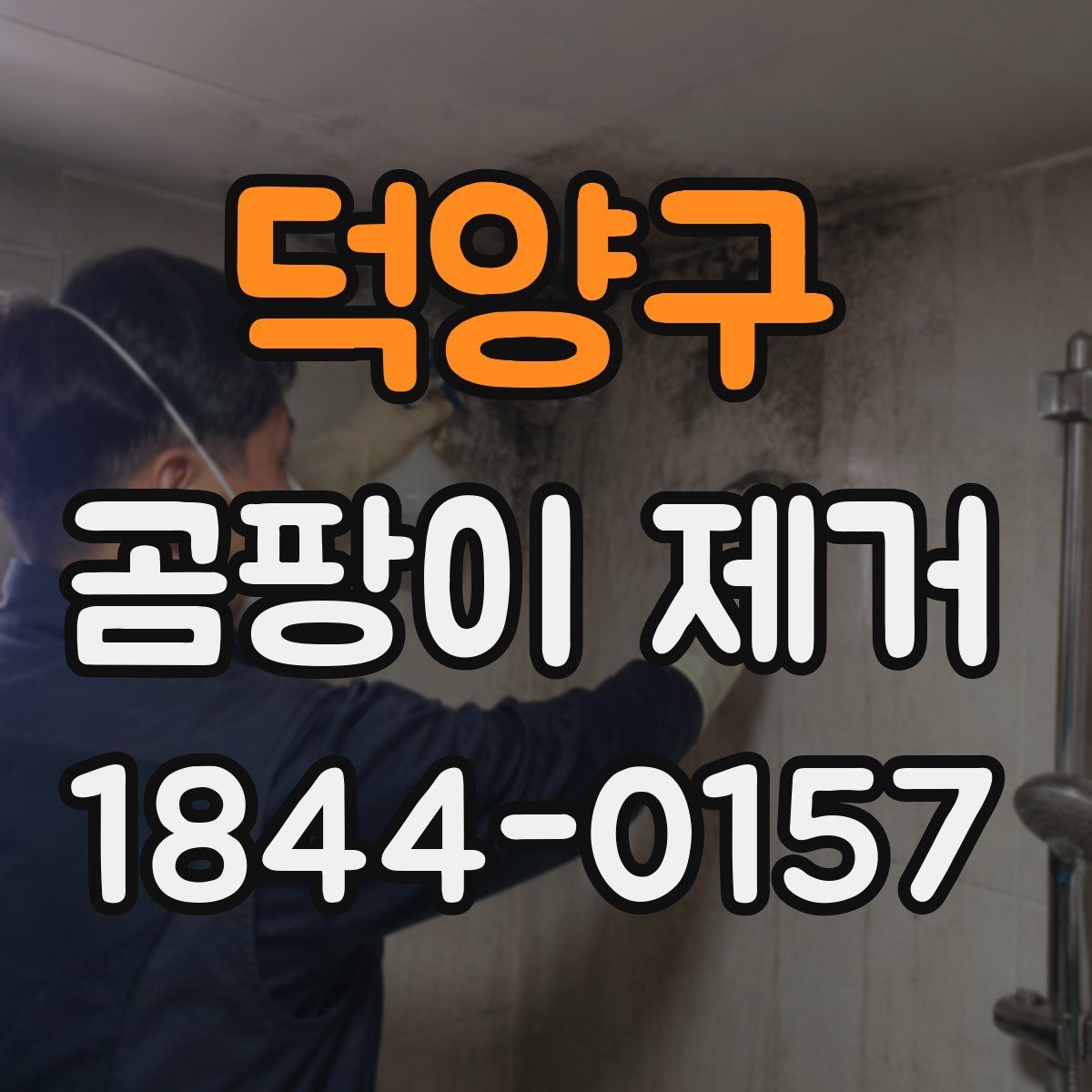 덕양구 곰팡이 제거