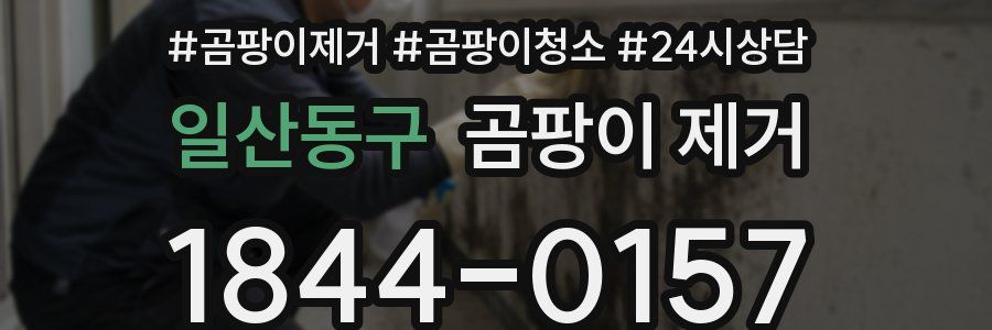 일산동구 곰팡이 제거