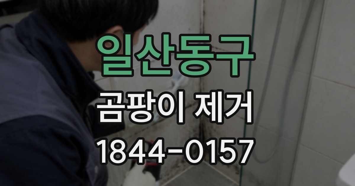 일산동구 곰팡이 제거