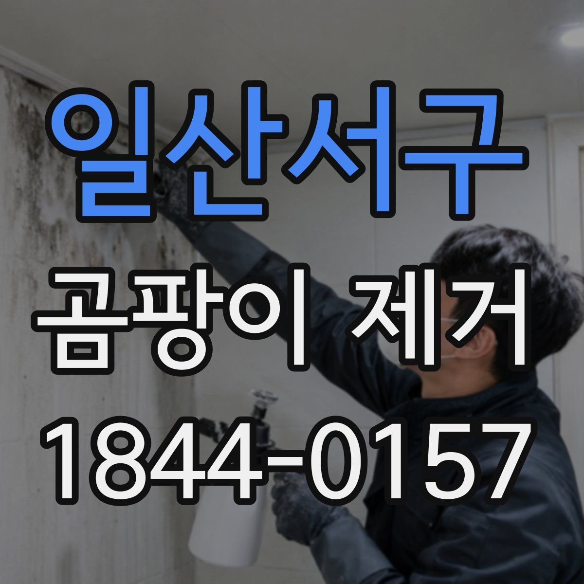 일산서구 곰팡이 제거