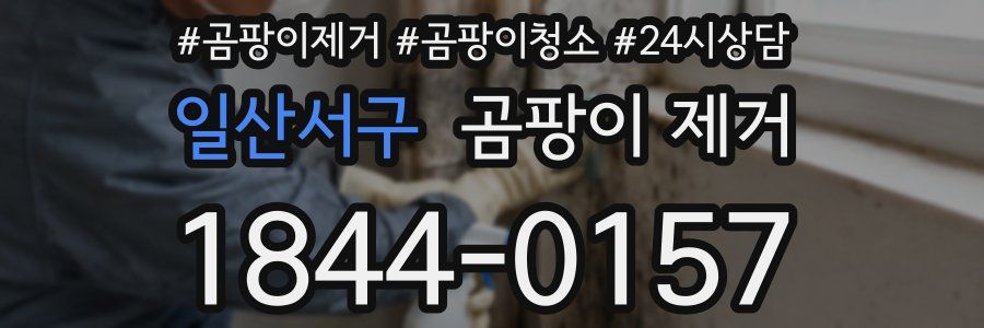 일산서구 곰팡이 제거