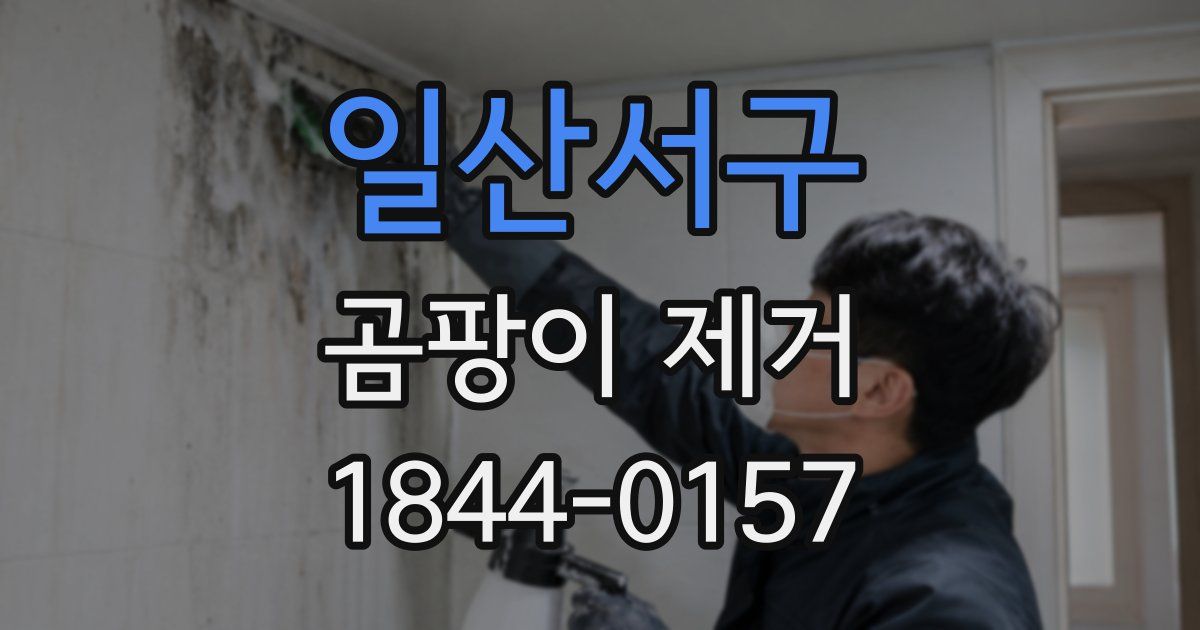 일산서구 곰팡이 제거