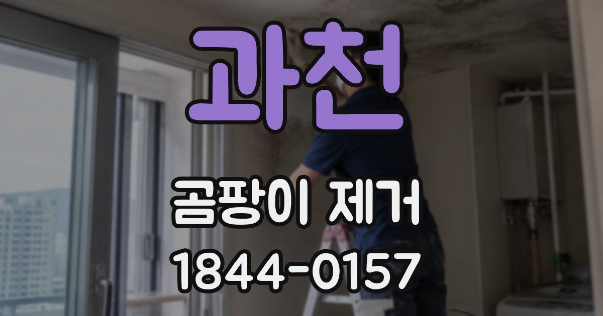 과천 곰팡이 제거