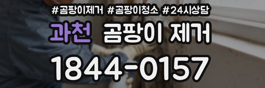 과천 곰팡이 제거
