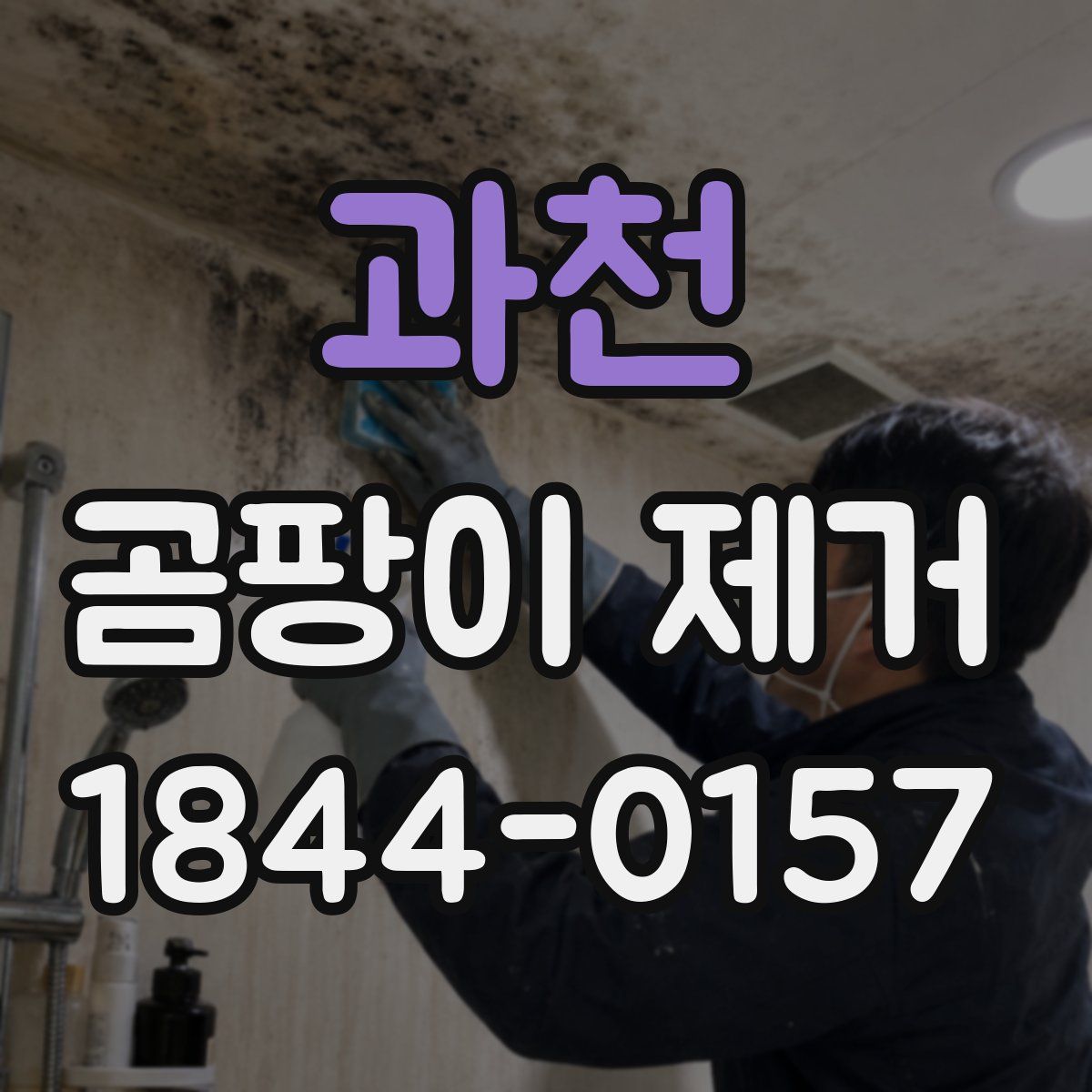 과천 곰팡이 제거