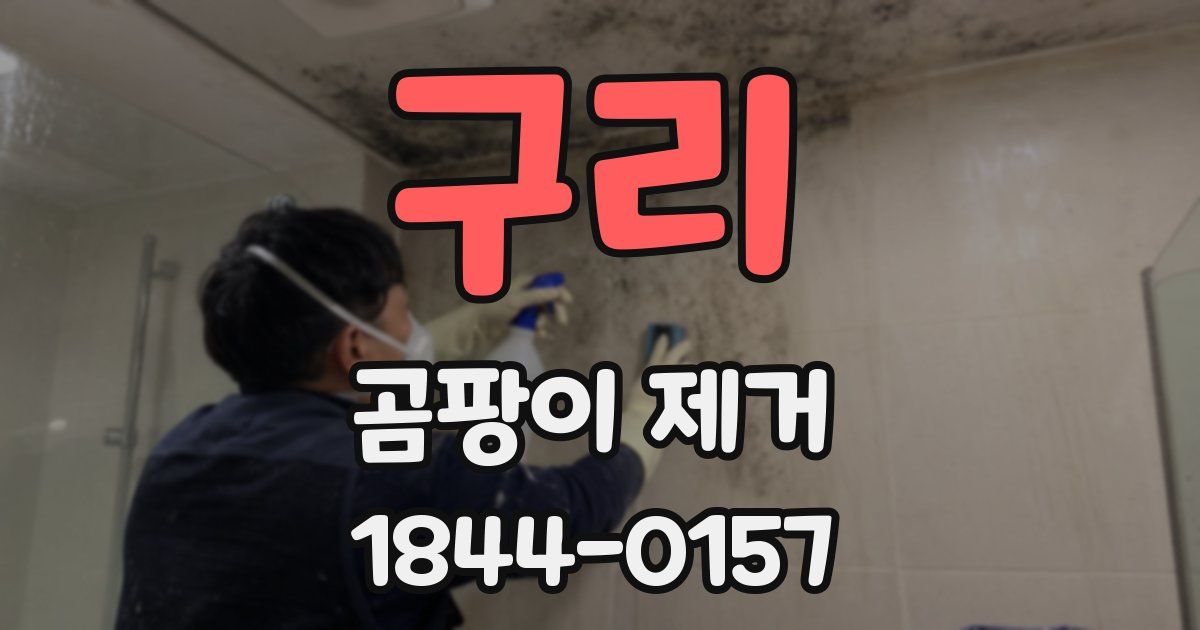 구리 곰팡이 제거
