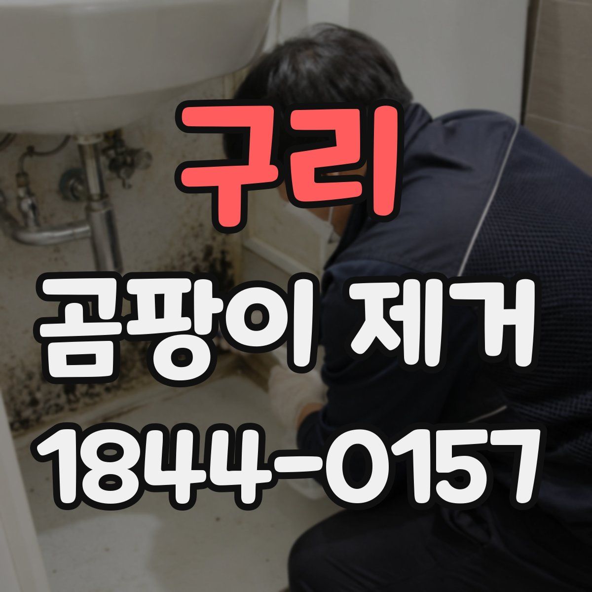 구리 곰팡이 제거