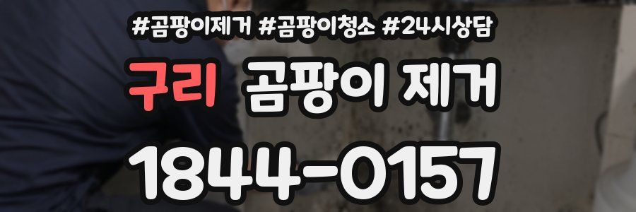 구리 곰팡이 제거