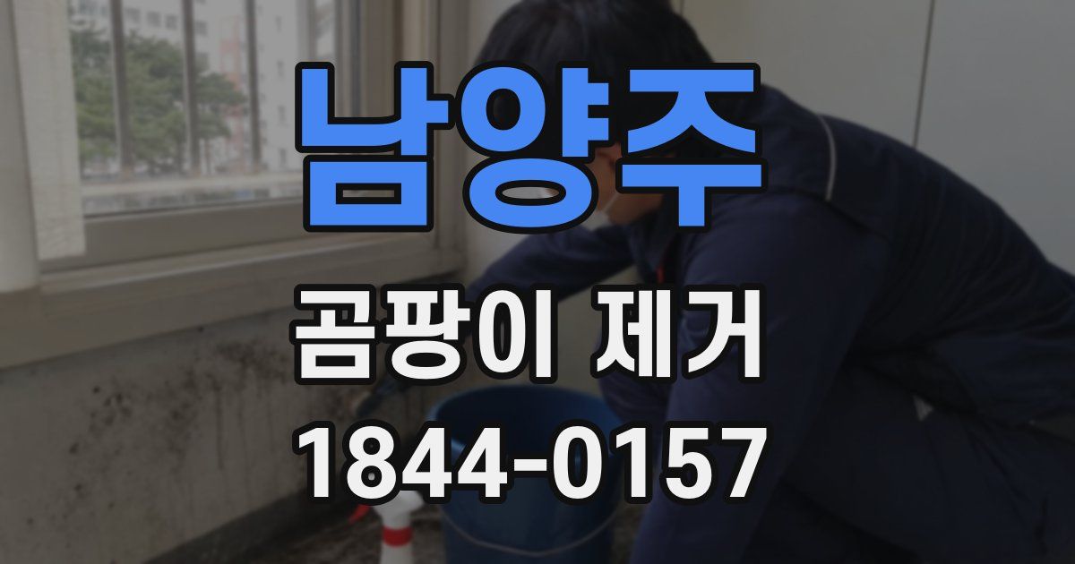 남양주 곰팡이 제거