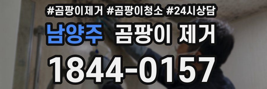 남양주 곰팡이 제거