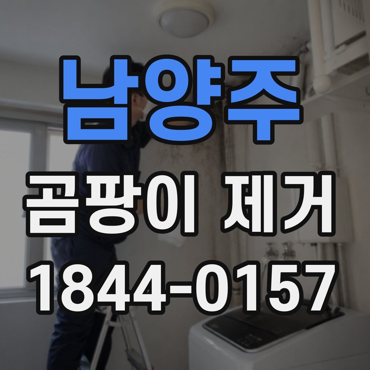 남양주 곰팡이 제거