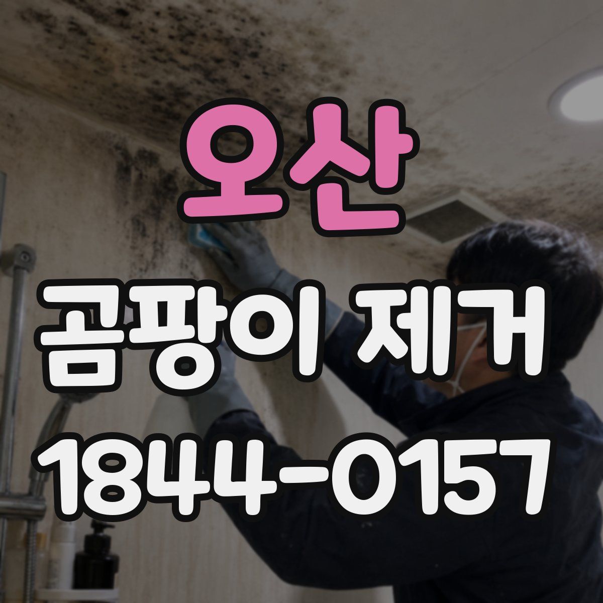 오산 곰팡이 제거