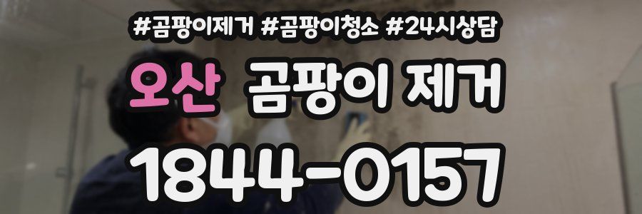 오산 곰팡이 제거