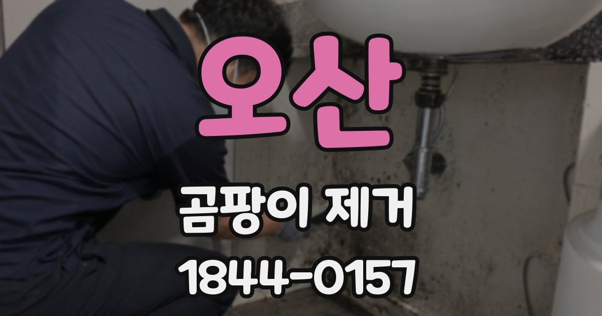 오산 곰팡이 제거