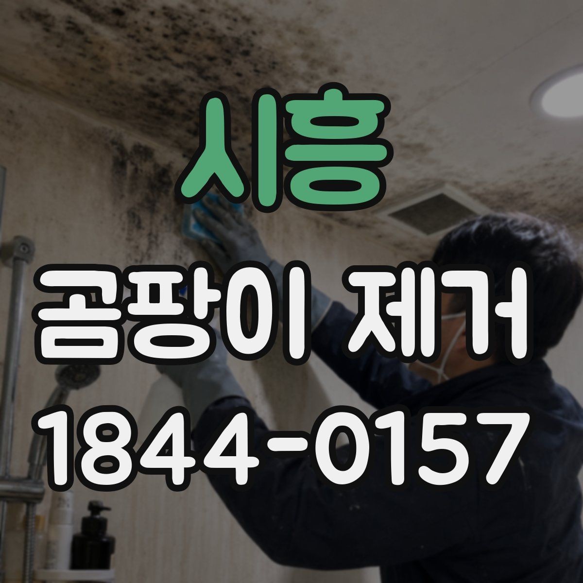 시흥 곰팡이 제거 화장실 인접 벽면에서 자주 생기는 이유