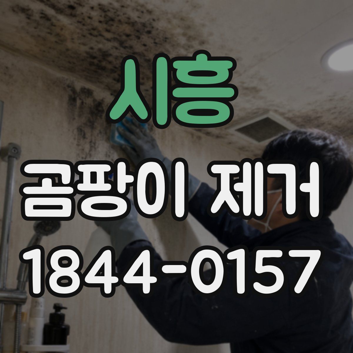 시흥 곰팡이 제거