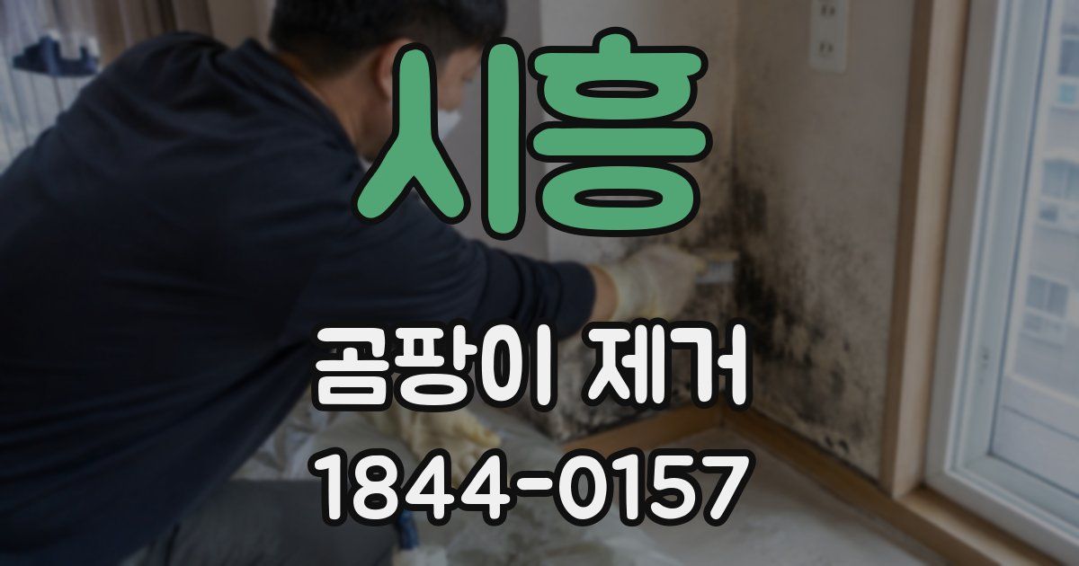 시흥 곰팡이 제거
